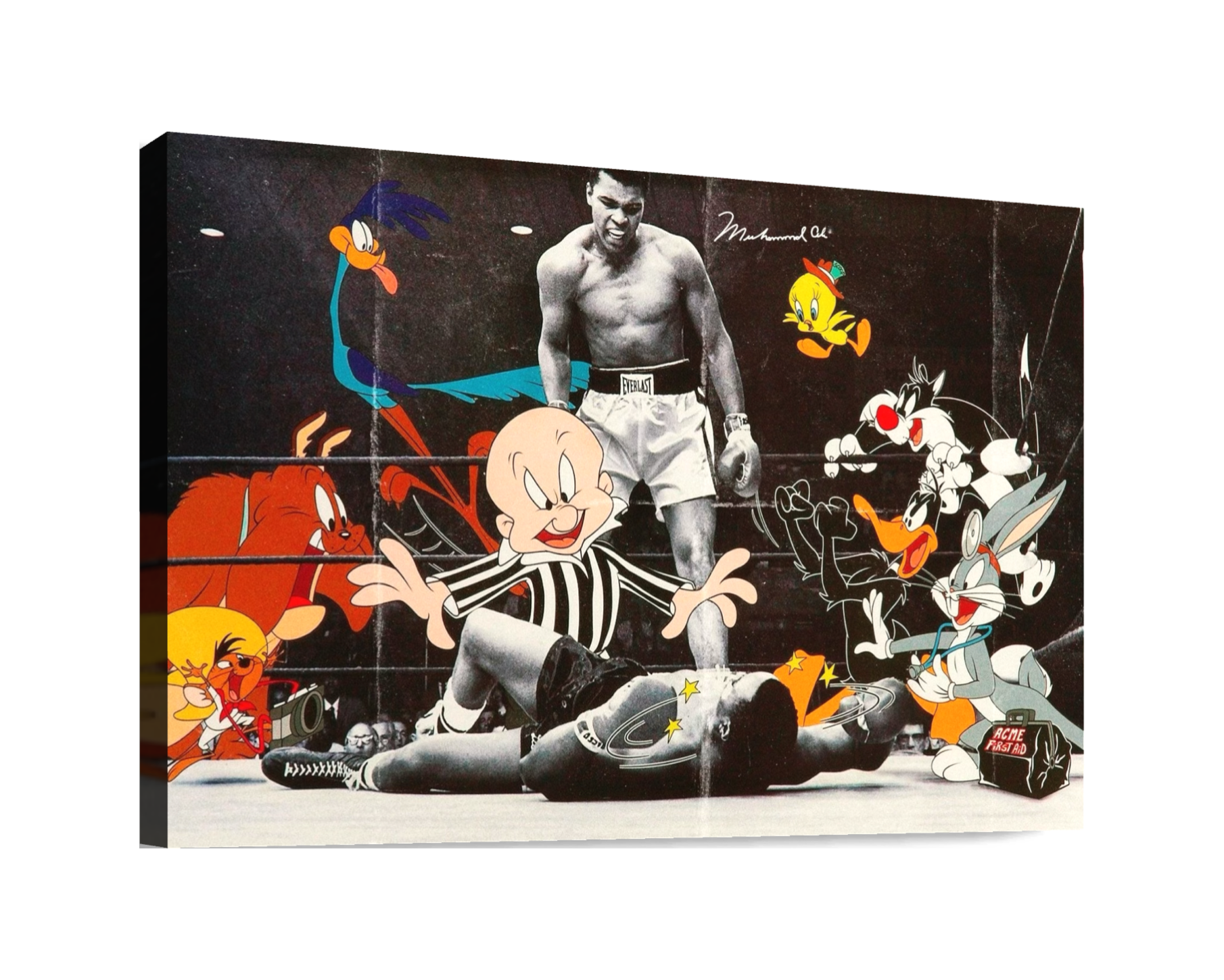 Boxing Cartoons
