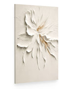 Ivory Bloom