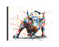 Bull Splash