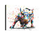 Bull Splash