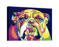 Bulldog Pop