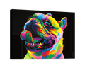 Neon Bulldog
